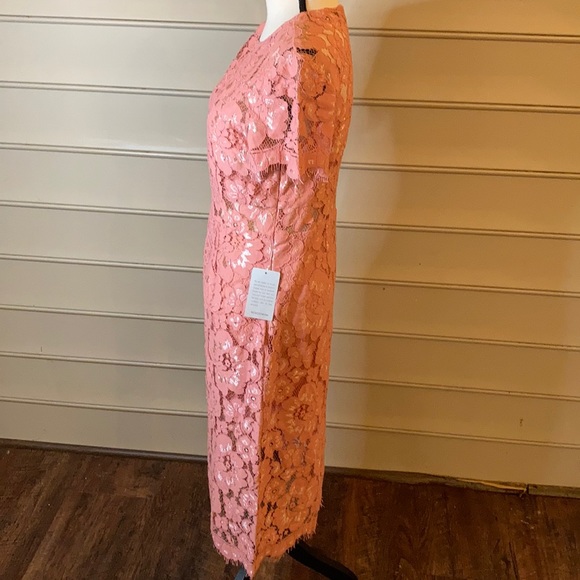 NWT NSR Lace Pink Sheath Dress Short Sleeve - Picture 4 of 10